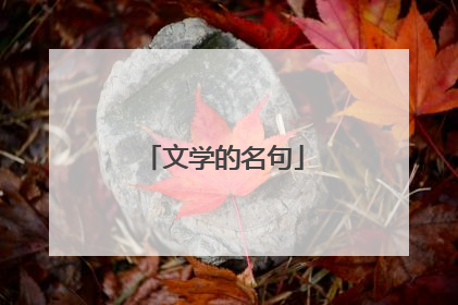 文学的名句