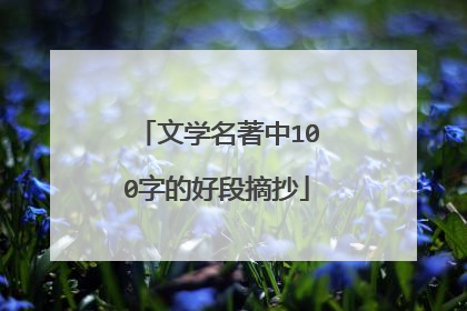 文学名著中100字的好段摘抄