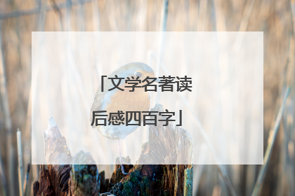 文学名著读后感四百字