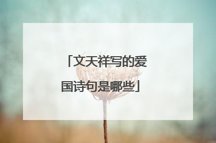 文天祥写的爱国诗句是哪些