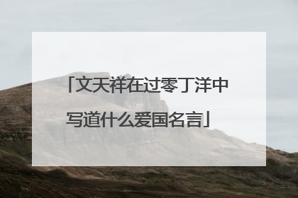 文天祥在过零丁洋中写道什么爱国名言