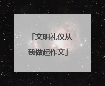 文明礼仪从我做起作文