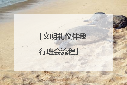 文明礼仪伴我行班会流程