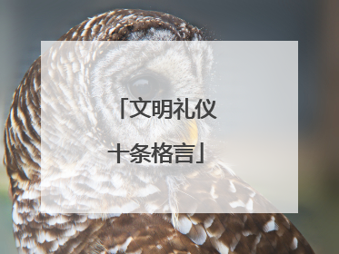 文明礼仪十条格言