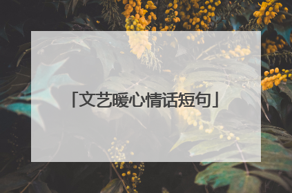 文艺暖心情话短句