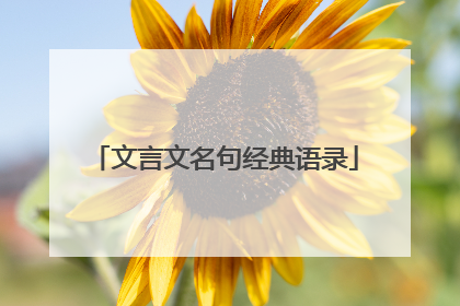 文言文名句经典语录