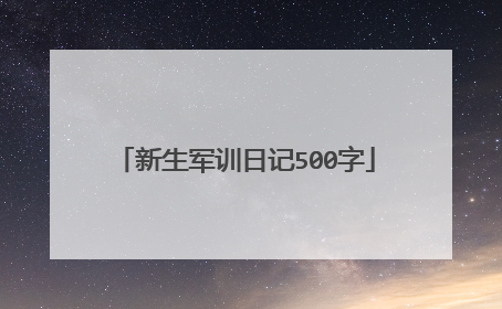 新生军训日记500字
