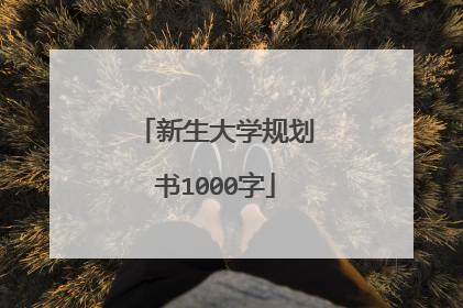 新生大学规划书1000字