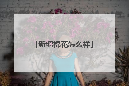 新疆棉花怎么样