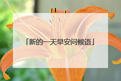 新的一天早安问候语