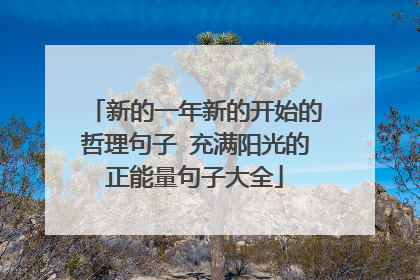 新的一年新的开始的哲理句子 充满阳光的正能量句子大全