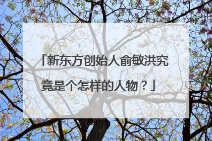 新东方创始人俞敏洪究竟是个怎样的人物？