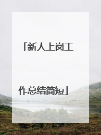 新人上岗工作总结简短