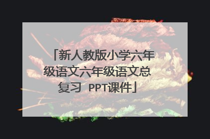 新人教版小学六年级语文六年级语文总复习 PPT课件
