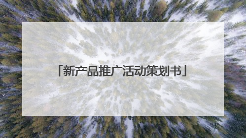 新产品推广活动策划书