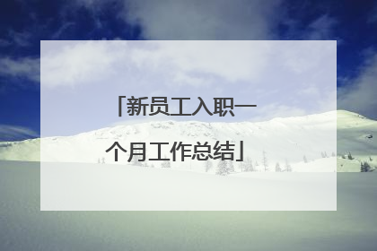 新员工入职一个月工作总结