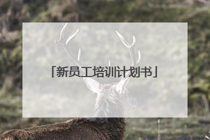 新员工培训计划书