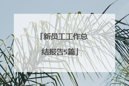 新员工工作总结报告5篇