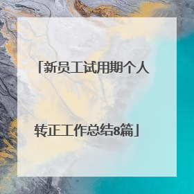 新员工试用期个人转正工作总结8篇