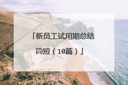 新员工试用期总结简短(10篇)