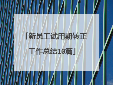 新员工试用期转正工作总结10篇