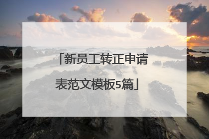 新员工转正申请表范文模板5篇