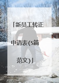 新员工转正申请表(5篇范文)