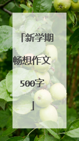 新学期畅想作文500字