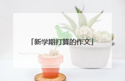新学期打算的作文