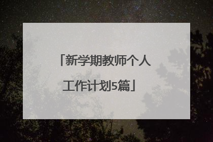 新学期教师个人工作计划5篇
