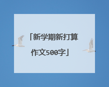 新学期新打算作文500字