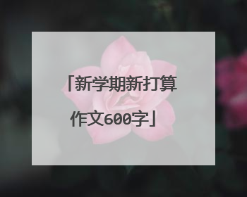 新学期新打算作文600字