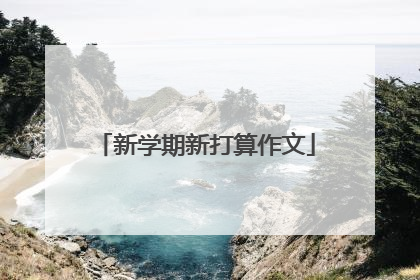 新学期新打算作文