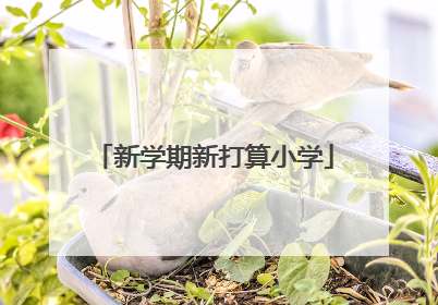 新学期新打算小学