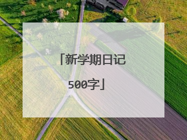 新学期日记500字