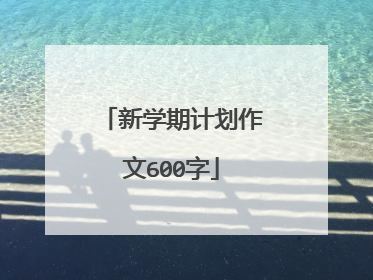 新学期计划作文600字