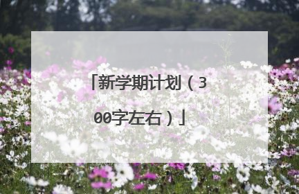 新学期计划(300字左右)