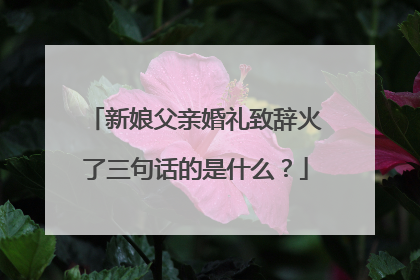 新娘父亲婚礼致辞火了三句话的是什么？