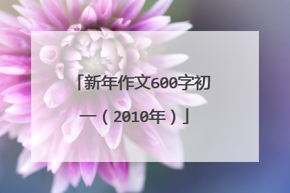 新年作文600字初一（2010年）
