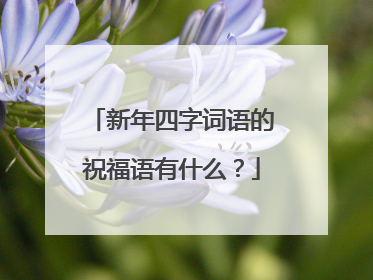 新年四字词语的祝福语有什么？