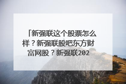 新强联这个股票怎么样？新强联股吧东方财富网股？新强联2021年是否分红？