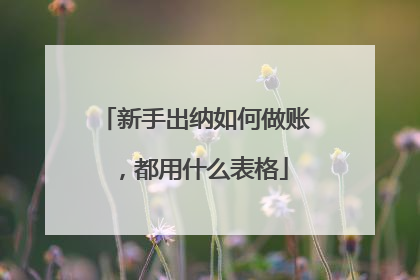 新手出纳如何做账，都用什么表格