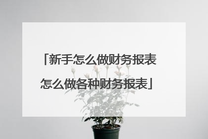 新手怎么做财务报表 怎么做各种财务报表