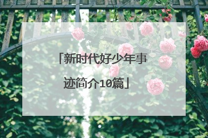 新时代好少年事迹简介10篇