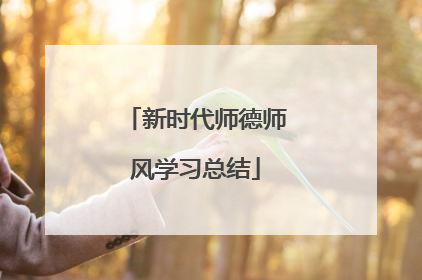 新时代师德师风学习总结