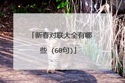 新春对联大全有哪些 (60句)