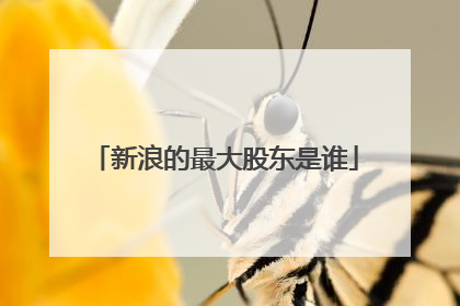 新浪的最大股东是谁