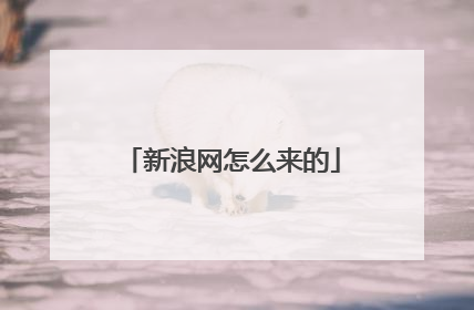 新浪网怎么来的