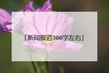 新闻报道300字左右