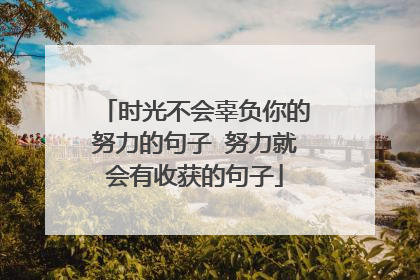 时光不会辜负你的努力的句子 努力就会有收获的句子